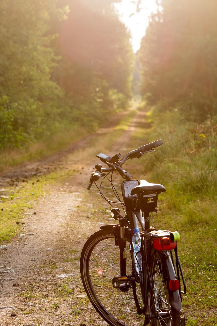 Stableside at Shaws Farm is a beautiful self catering cottage for 2 in the Forest of Dean, Blakeney, Gloucestershire, a working horse stables, accommodation Forest of Dean